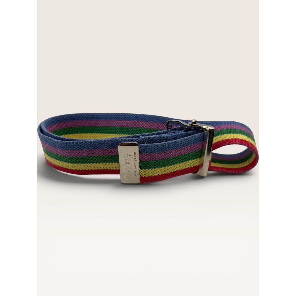 Posey Rainbow Striped Belt Cotton Webbing Quick Release Buckle 46" Dopamine
